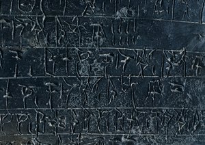  द्वारा गेब्रियल बेला