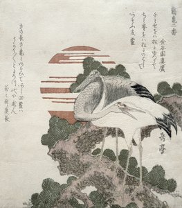 क्रेन (Tsuru) श्रृंखला से 2 क्रेन और कछुओं के डिजाइन, 1818-30 (वुडब्लॉक उत्कीर्णन)