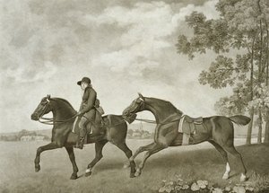 जॉर्ज टाउनली स्टब्स द्वारा उकेरी गई दो हैक्स (bap.1748-c.1815) (लिथो)