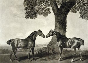दो शिकारी, जीटी स्टब्स द्वारा उकेरा गया (bap.1748-c.1815) (लिथो) (266802 भी देखें)