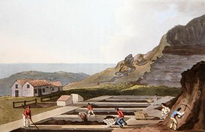रॉबर्ट हैवेल (1769-1832) 1814 (कलर लिथो) द्वारा उकेरी गई 'कॉस्ट्यूम ऑफ यॉर्कशायर' से एलम वर्क्स द्वारा जॉर्ज (बाद) वॉकर