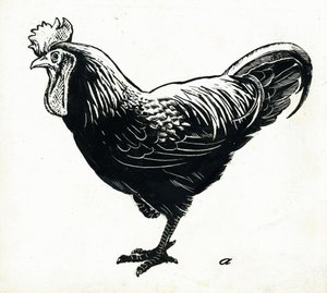 मुर्गी, 1950 का दशक (स्क्रैपरबोर्ड) द्वारा जॉर्ज एडम्सन