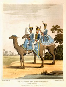 रॉकेट कॉर्प्स और ड्रोमेडरी कॉर्प्स, बंगाल आर्मी 1817, &39;जर्नल ऑफ़ ए रूट अक्रॉस इंडिया एंड थ्रू मिस्त्र&39;, जो कि आर। हेवेल और सोन, पब द्वारा उकेरी गई है। जॉन मरे द्वारा, 1819 द्वारा जॉर्ज ऑगस्टस फ़ित्ज़क्लारेंस