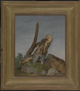 चट्टानों और शाखाओं का अध्ययन, c.1795 (कागज पर तेल)