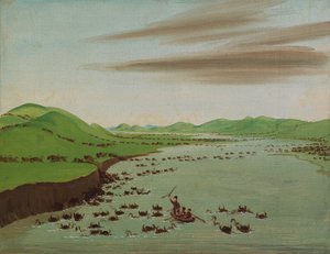 भैंस झुंड ऊपरी मिसौरी, 1832 को पार कर रहे हैं।