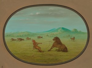 कैचिंग वाइल्ड हॉर्सेस - पावनी, 18611869। द्वारा जॉर्ज कैटलिन