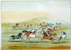 अमेरिका के भारतीय: भारतीयों द्वारा शिकार किए जाने वाले जंगली घोड़े। जॉर्ज कैटलिन द्वारा चित्रण (1794-1872) द्वारा जॉर्ज कैटलिन