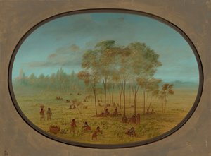 Kiowa भारतीयों जंगली अंगूर इकट्ठा, 18611869। द्वारा जॉर्ज कैटलिन