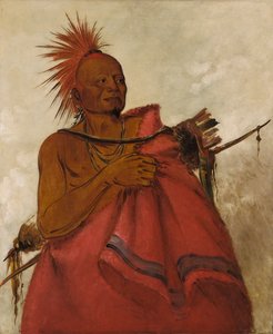 चा-टू-गा, मैड बफ़ेलो, टू व्हाइट मेन का मर्डरर, 1834। द्वारा जॉर्ज कैटलिन