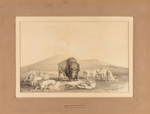  द्वारा जॉर्ज कैटलिन