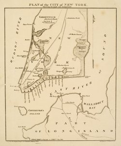 न्यूयॉर्क के शहर की योजना [एसआईसी] और स्वमपलैंड, 1856 (कागज पर काली स्याही) दिखाती