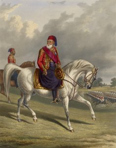 मिस्र के इब्राहिम पाशा 1789-1848, 1846