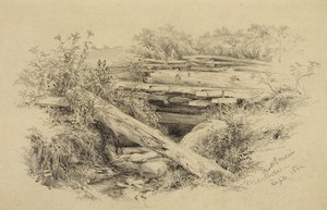 मॉन्ट्रोस, न्यूयॉर्क, 1862 (कागज पर ग्रेफाइट)