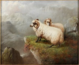 भेड़ एक चट्टान पर, c.1865-68