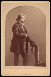 चार्ल्स सुमनेर का पोर्ट्रेट 1811-1874, 1872 और 1874 के बीच।