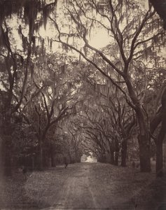 बोनवेंट्योर कब्रिस्तान, सवाना से चार मील, 1866। द्वारा जॉर्ज एन। बरनार्ड