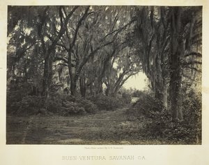 बॉन-वेंचुरा सवाना, गा., 1866। द्वारा जॉर्ज एन। बरनार्ड