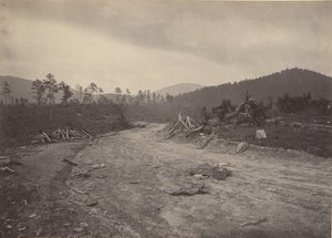 बज़र्ड रोस्ट, जॉर्जिया, 1860 के दशक। द्वारा जॉर्ज एन। बरनार्ड