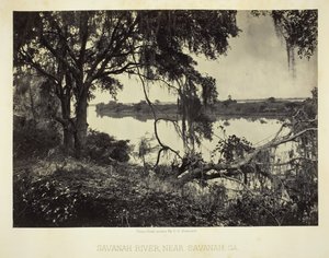 सवाना नदी, सवाना के पास, जीए, 1866। द्वारा जॉर्ज एन। बरनार्ड