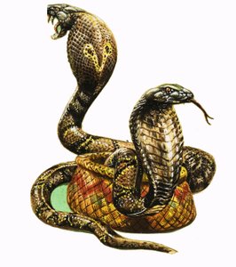  द्वारा जॉर्ज आर. रैडक्लिफ़