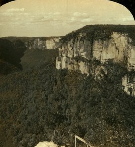 ग्रोस वैली, ब्लू माउंटेंस, एनएसडब्ल्यू, ऑस्ट्रेलिया, 1909। द्वारा जॉर्ज रोज़