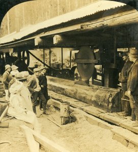 टिम्बर इंडस्ट्री, वारबटन, विक्टोरिया, ऑस्ट्रेलिया, 1909। द्वारा जॉर्ज रोज़