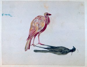 पक्षी, 1820-1876 द्वारा जॉर्ज सैंड