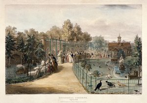 जूलॉजिकल गार्डन, रीजेंट पार्क, लंदन, 1835