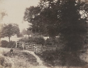 ग्रीन मीडोज, 1854। द्वारा जॉर्ज शैडबोल्ट