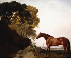 ए बे अरब इन ए कोस्टल लैंडस्केप, 1779 द्वारा जॉर्ज स्टब्स