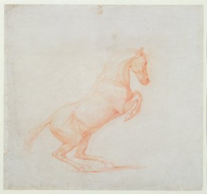 एक प्राणिंग घोड़ा, दाहिनी ओर, 1790 (कागज पर लाल चाक) द्वारा जॉर्ज स्टब्स