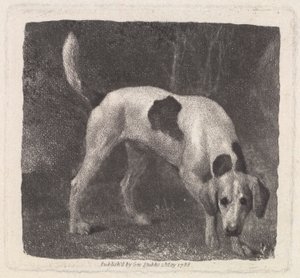 डॉग (ए फॉक्सहाउंड ऑन द खुशबू) कलाकार, पब द्वारा उकेरा गया। 1788 द्वारा जॉर्ज स्टब्स