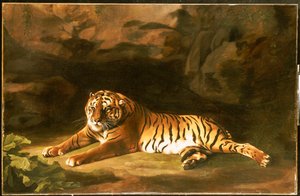 रॉयल टाइगर का पोर्ट्रेट, c.1770