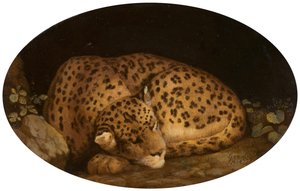 स्लीपिंग लेपर्ड, 1777।