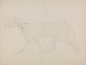 एक टाइगर का अध्ययन, पार्श्व दृश्य, &39;टाइगर और एक कॉमन फॉल के साथ मानव शरीर की संरचना की तुलनात्मक शारीरिक अभिव्यक्ति&39; द्वारा जॉर्ज स्टब्स