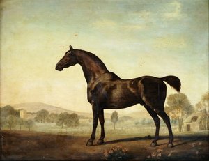 स्वीडिलियम ", ए बे रेसहॉर्स, इन ए पैडडॉक, 1779 द्वारा जॉर्ज स्टब्स