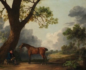 एक दूल्हे और एक कुत्ते के साथ डोरसेट के हंटर का तीसरा ड्यूक, 1768। द्वारा जॉर्ज स्टब्स