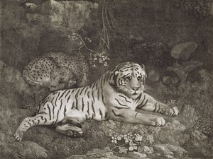 दो टायर, कलाकार द्वारा उकेरा गया, पब। 1788 (नक़्क़ाशी) द्वारा जॉर्ज स्टब्स