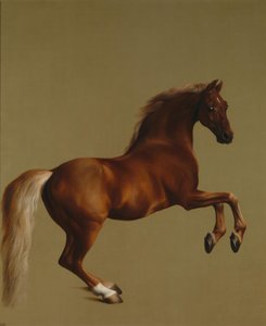 Whistlejacket द्वारा जॉर्ज स्टब्स