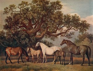 18 वीं शताब्दी के अंत में, 1922 के अंत में ब्रोड मार्स एंड फ़ॉल्स