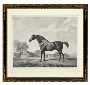 Sweetbrier (स्टिपल उत्कीर्णन)