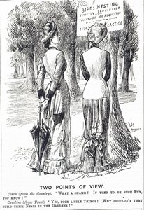 पक्षी संरक्षण अधिनियम 1880 पर कार्टून टिप्पणी द्वारा जॉर्ज डू मौरियर