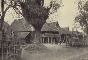  द्वारा जॉर्जेस बर्टिन स्कॉट