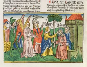 Apocrypha: टोबियास ने अपने पिता टोबिट्स को नूरेम्बर्ग बाइबिल (बिब्लिया सैकरा जर्मनिका) (रंगीन लकड़बग्घा) से एक मछली की पित्त के साथ दृष्टि बहाल की।