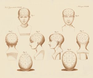 टूरिस्ट के चेहरे के कोण (रंगीन उत्कीर्णन) द्वारा जर्मन स्कूल