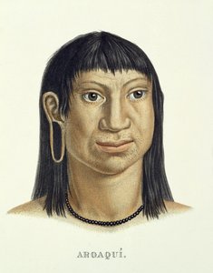जोहान बैपटिस्ट वॉन स्पिक्स (1781-1826) और कार्ल फ्रेडरिक फिलिप मार्टियस (1794-1868) द्वारा ब्राज़ील में एक यात्रा के एटलस से आरोक्वी जनजाति के मूल निवासी, प्रकाशित c.13535-50 प्रकाशित द्वारा जर्मन स्कूल