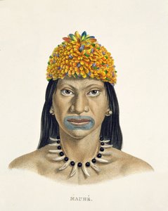 जोहान बैपटिस्ट वॉन स्पिक्स (1781-1826) और कार्ल फ्रेडरिक फिलिप मार्टियस (1794-1868) द्वारा ब्राज़ील में एक यात्रा के एटलस से छोटे नीले और नारंगी पंखों की हेडड्रेस के साथ मौहे जनजाति के मूल निवासी द्वारा जर्मन स्कूल