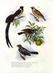 स्वर्ग व्हिडा, 1864 द्वारा जर्मन स्कूल