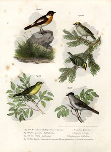 स्टोनचैट, 1864 द्वारा जर्मन स्कूल