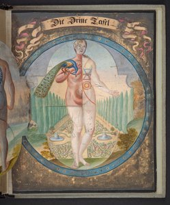  द्वारा जर्मन स्कूल